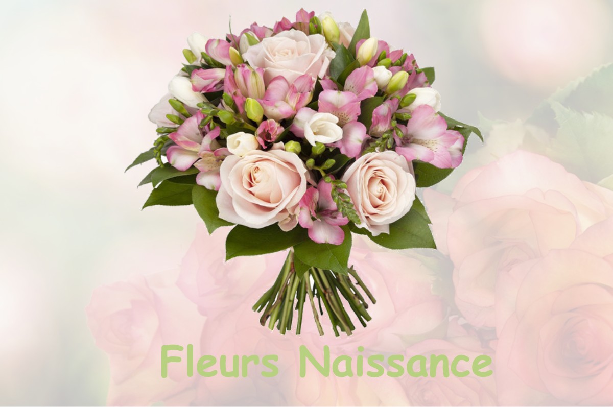 fleurs naissance MILLY-SUR-BRADON