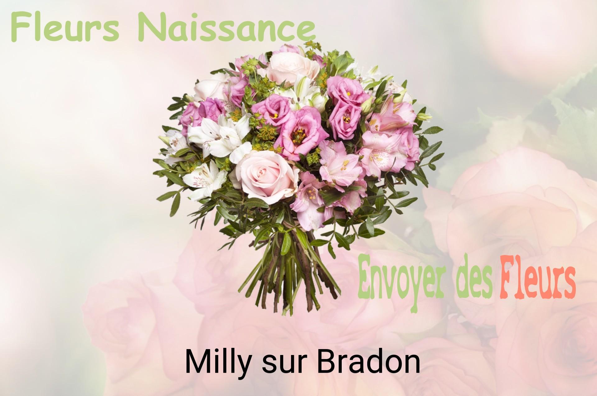 Bouquet de fleurs de naissance livré à Milly-sur-Bradon