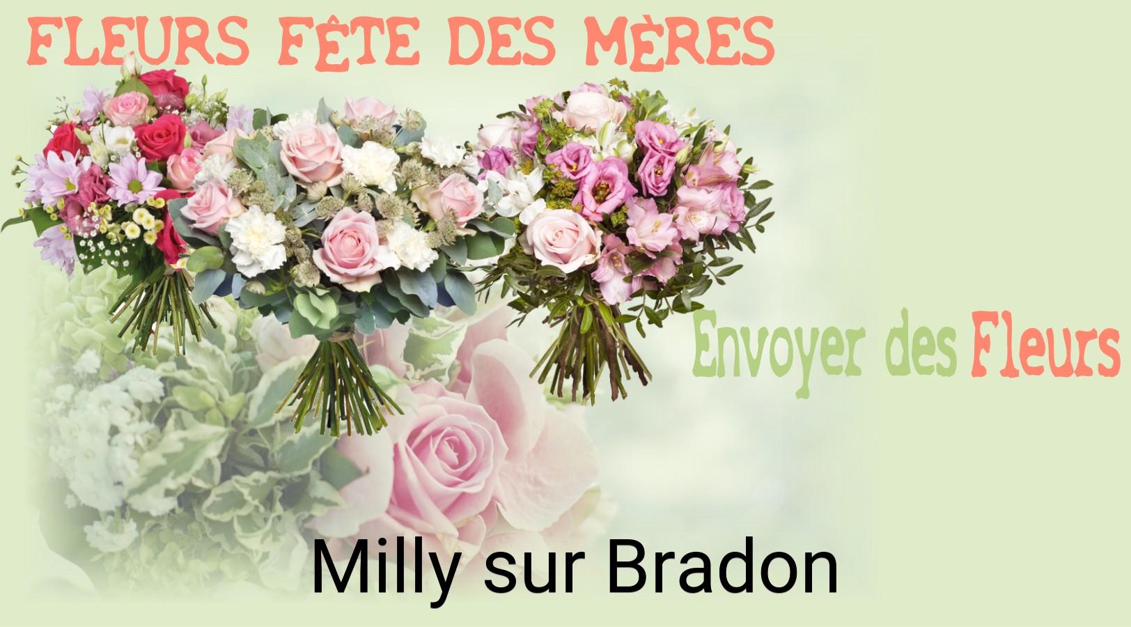 Bouquet de Fête des Mères livré à Milly-sur-Bradon